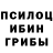 Псилоцибиновые грибы Psilocybine cubensis kolyasha