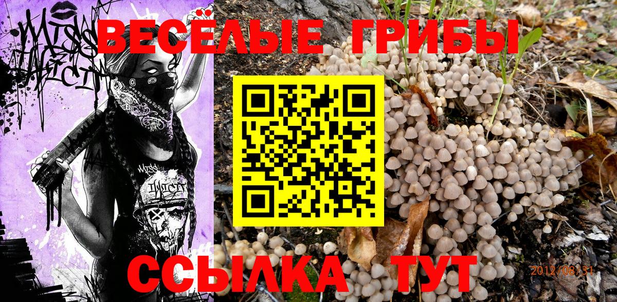 Псилоцибиновые грибы мицелий  Вход с VPN  Выкса  Псилоцибиновые грибы GOLDEN TEACHER 